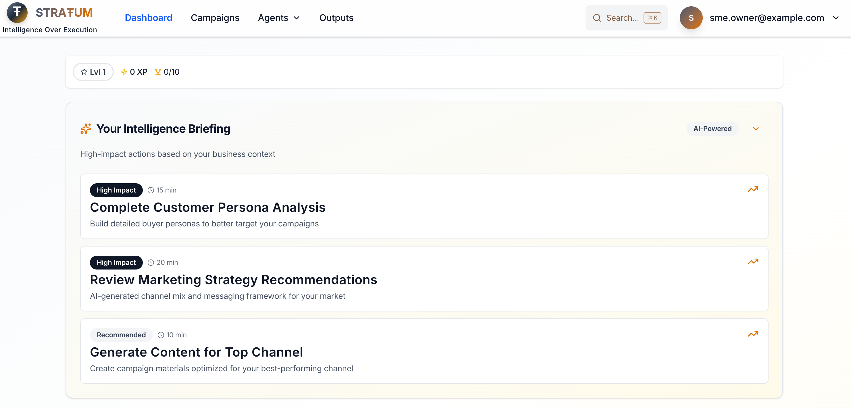 STRAŦUM - AI Marketing Intelligence screenshot 4