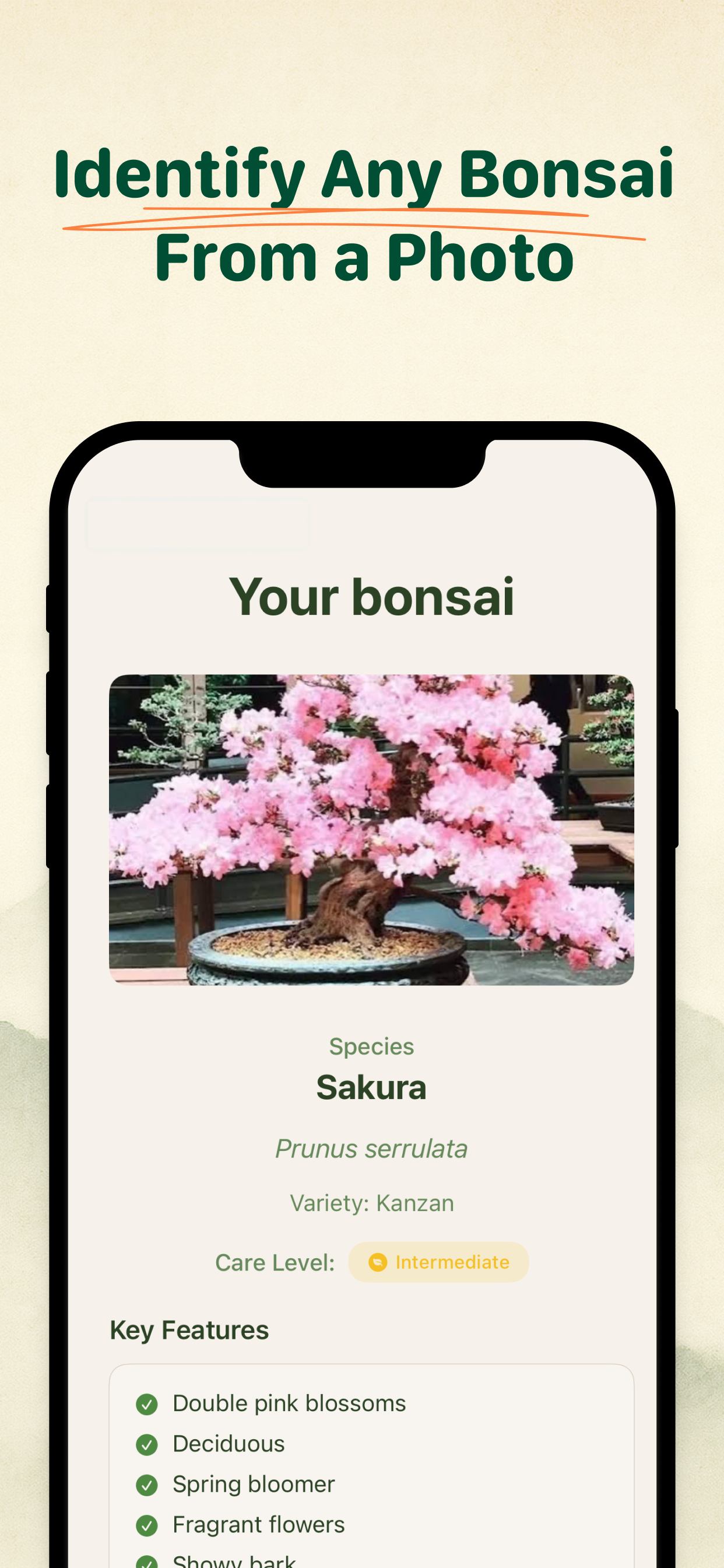Bonsai Buddy screenshot 1