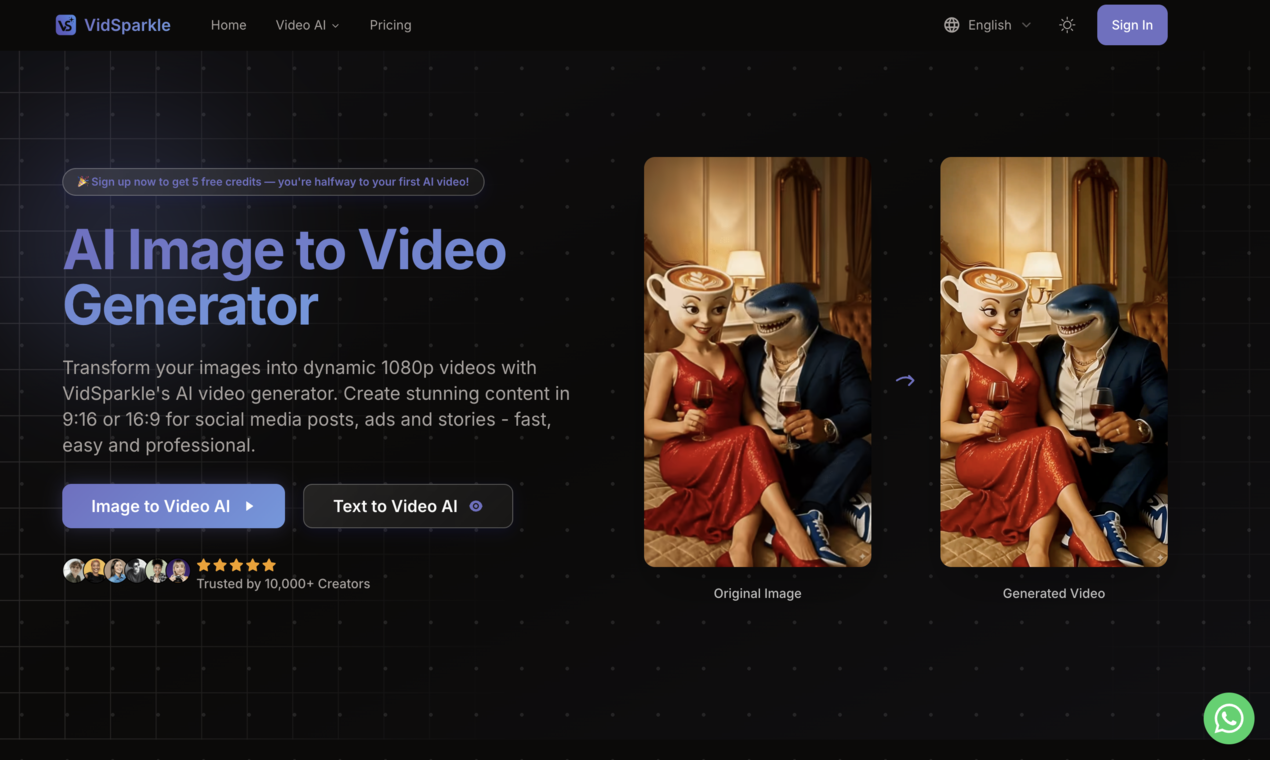 VidSparkle screenshot 3