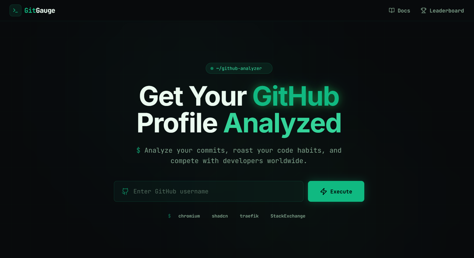 GitGauge — GitHub Profile Analyzer screenshot 1