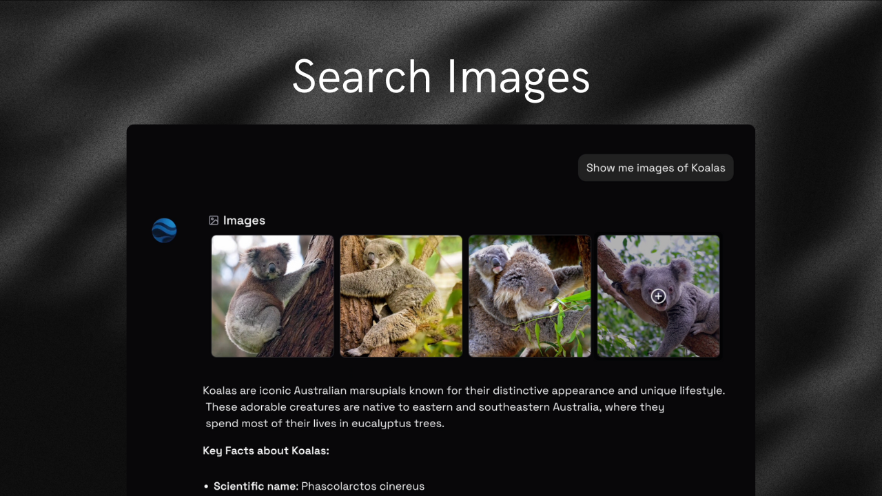 Terramind: Search screenshot 6