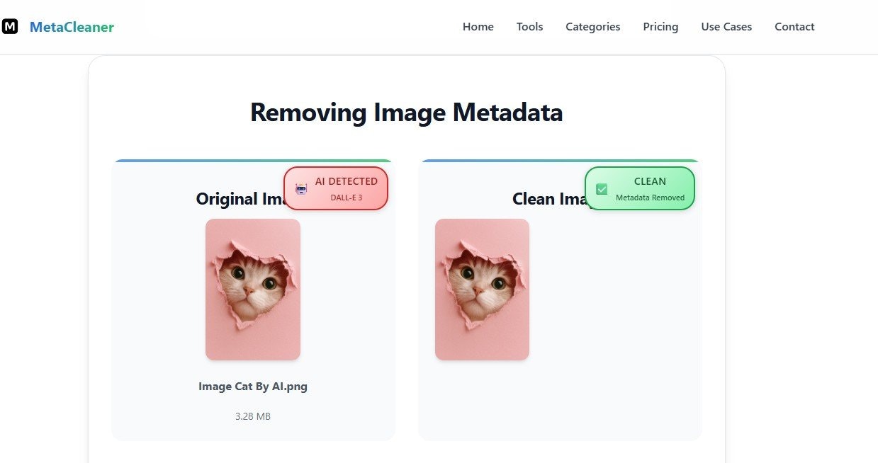 Remove AI Metadata screenshot 2