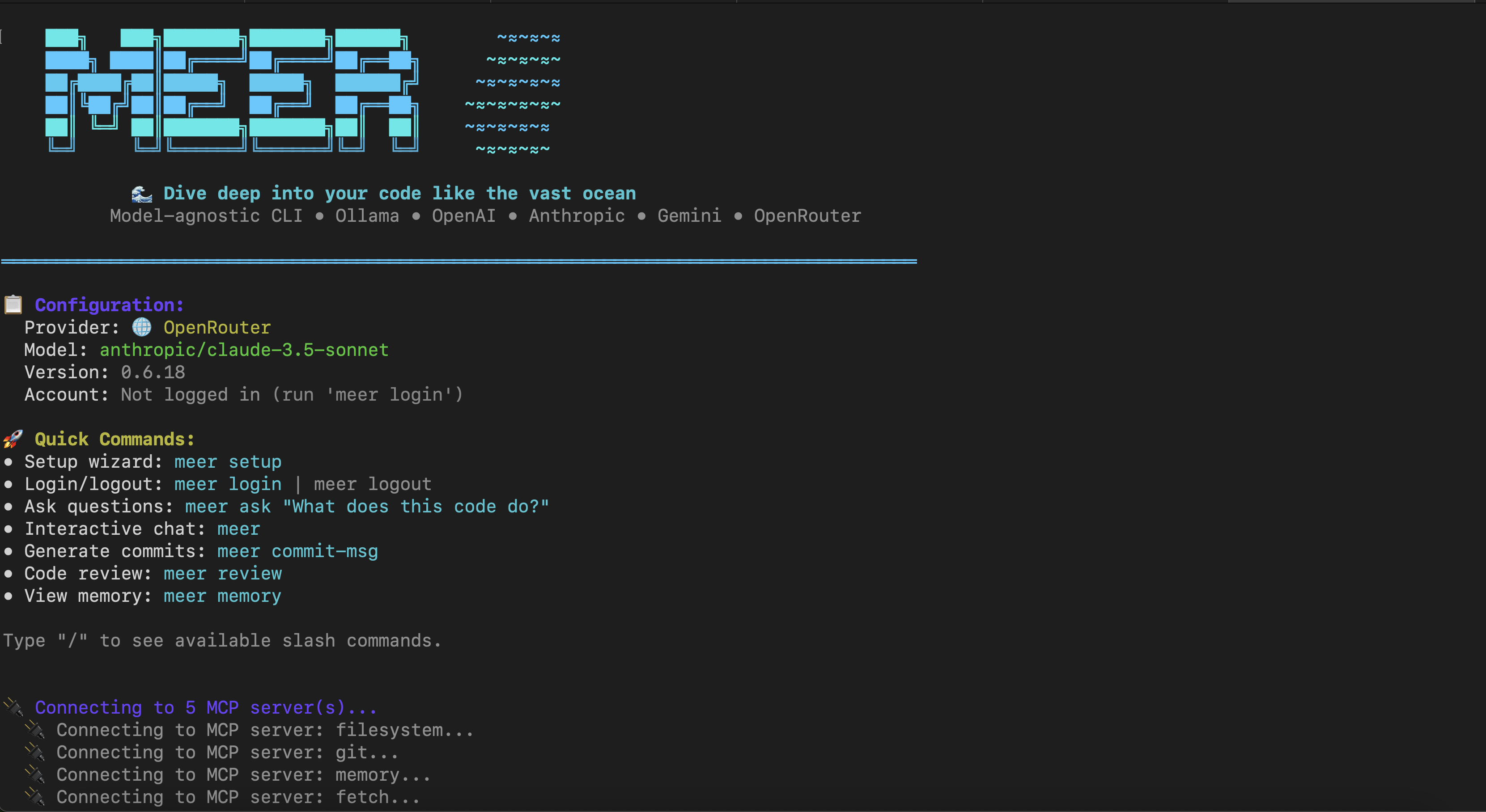 Meer CLI screenshot 2