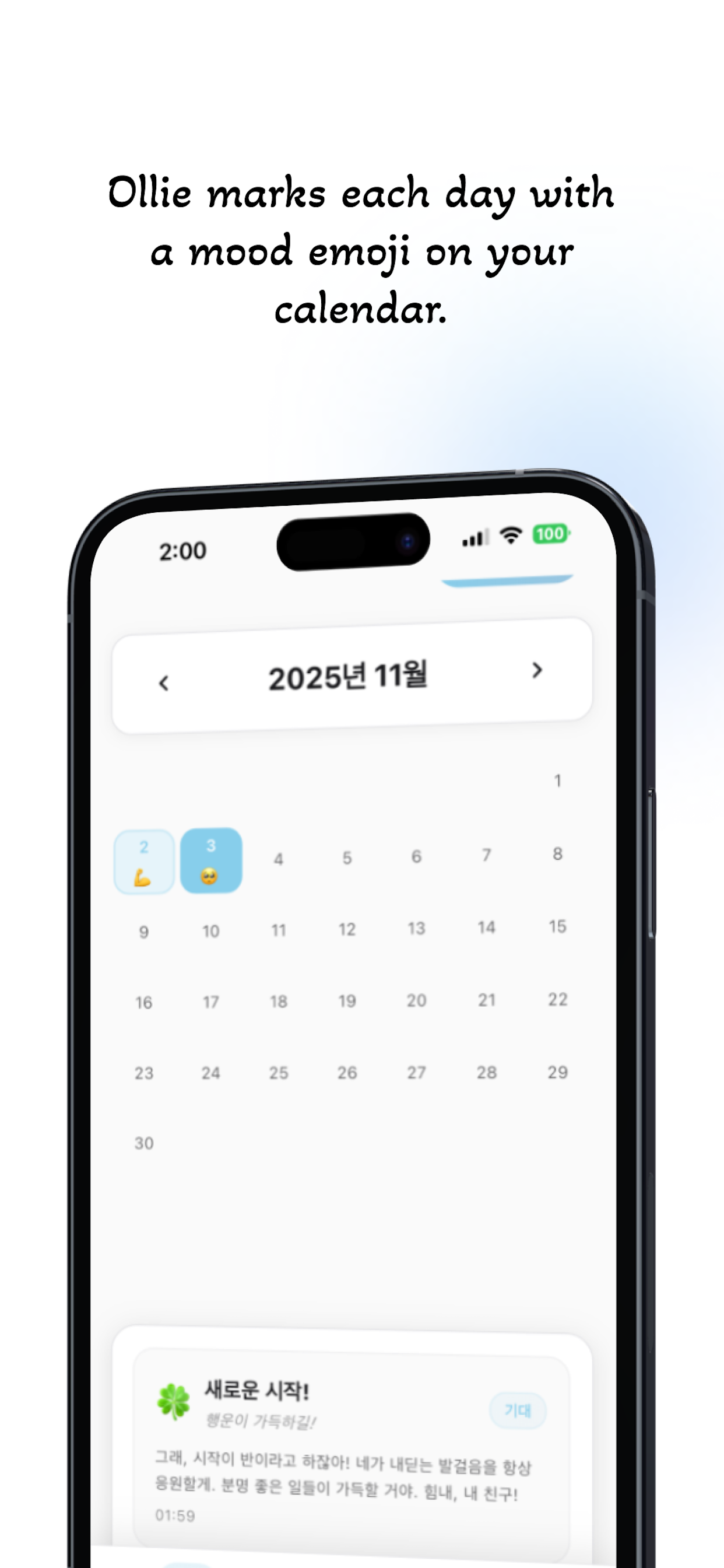 Ollie – Voice-to-Journal AI screenshot 3