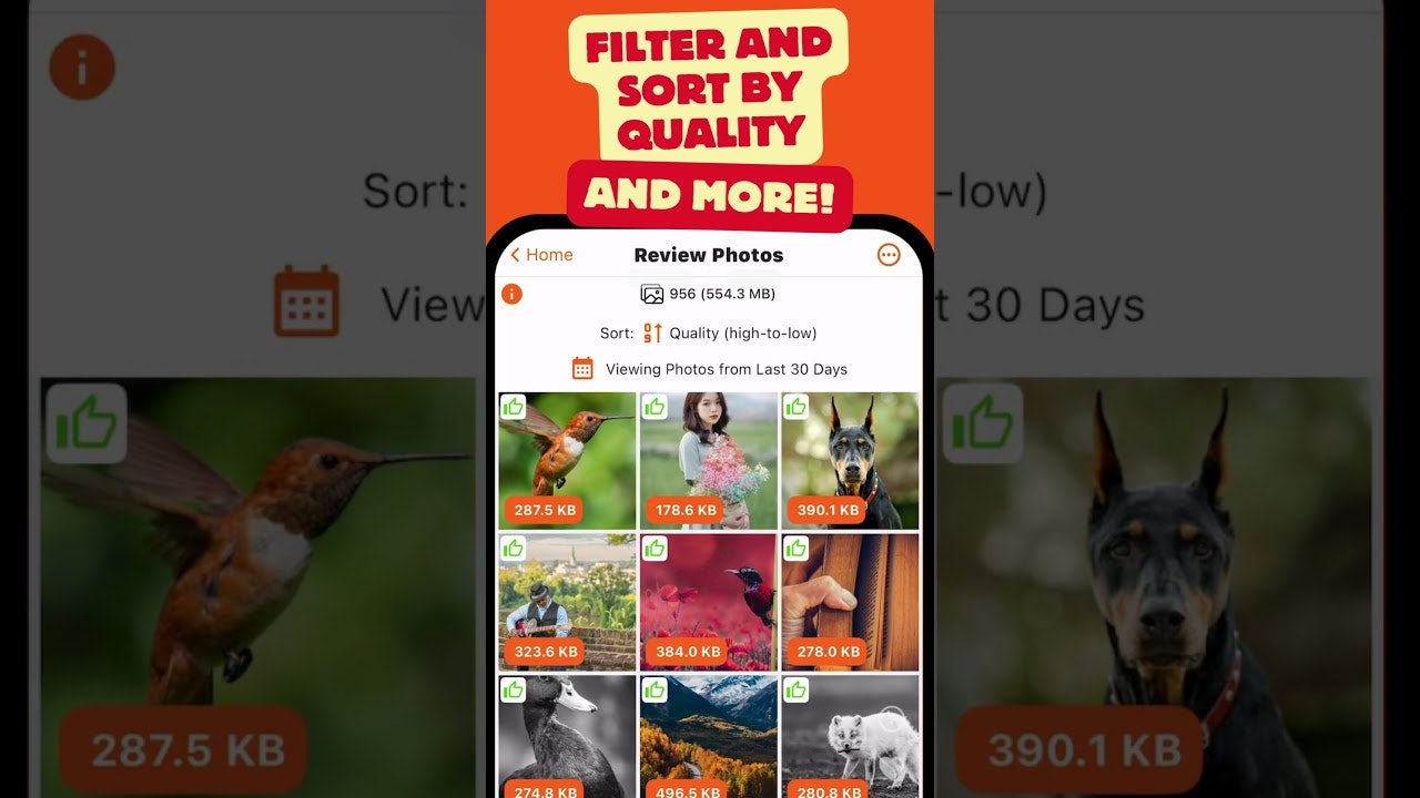 PhotoBase Cleaner screenshot 6