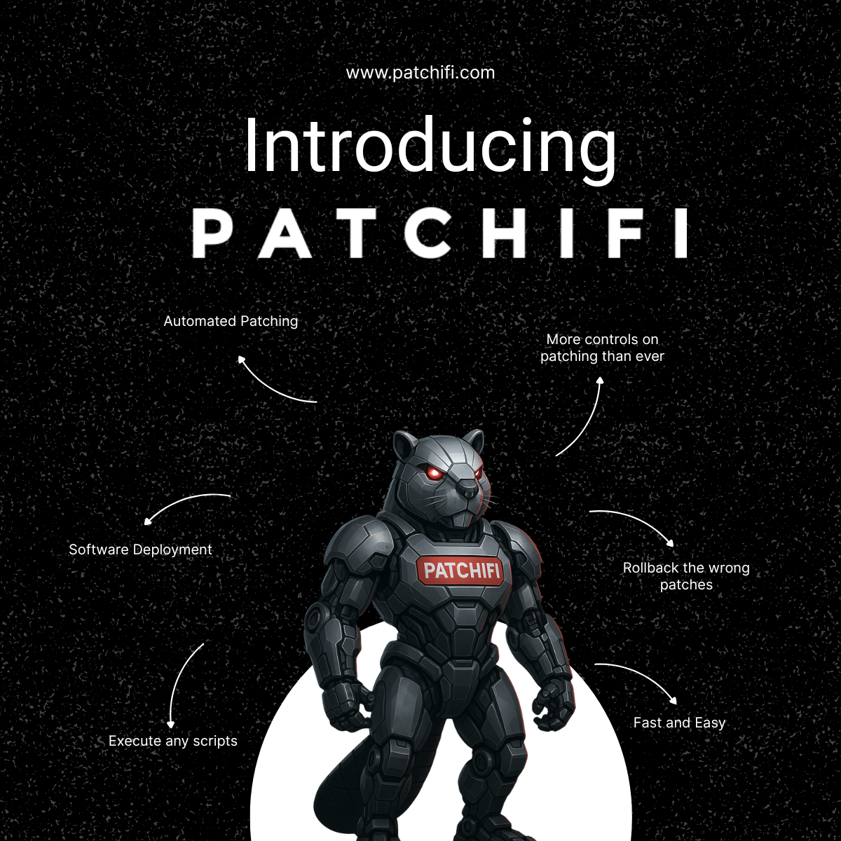 Patchifi screenshot 2