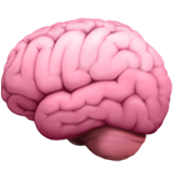 Pocket Brain