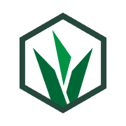 Grassroot Academy