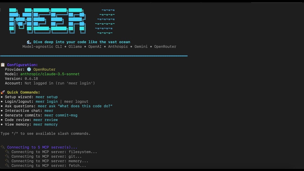 Meer CLI screenshot 3