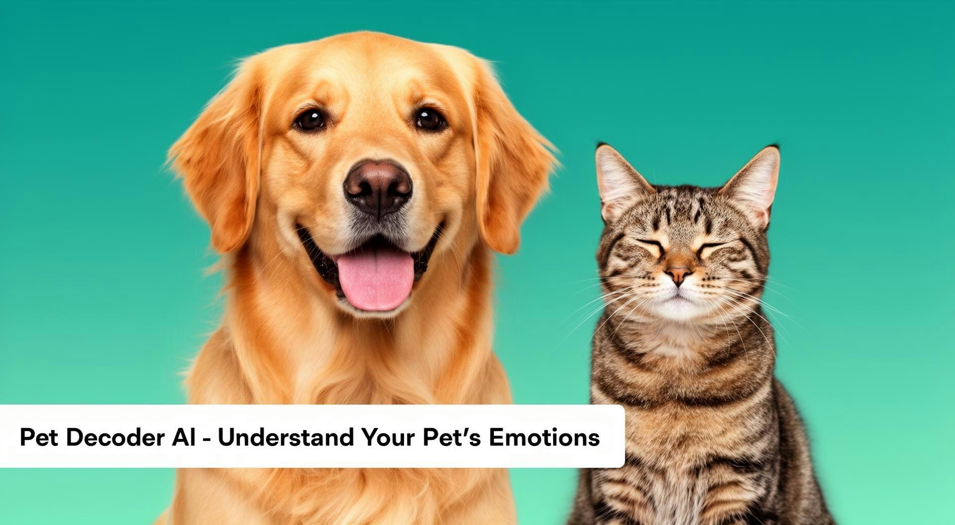 Pet Decoder AI screenshot 1