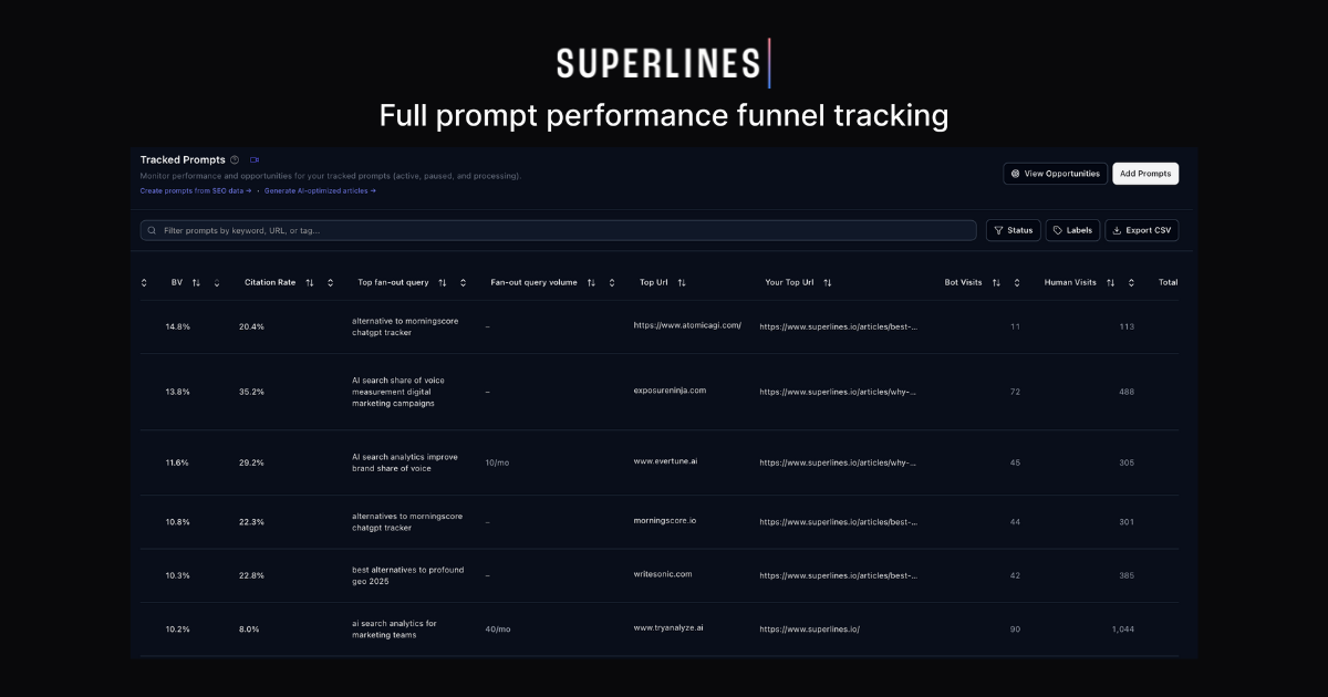 Superlines AI Search Platform screenshot 2