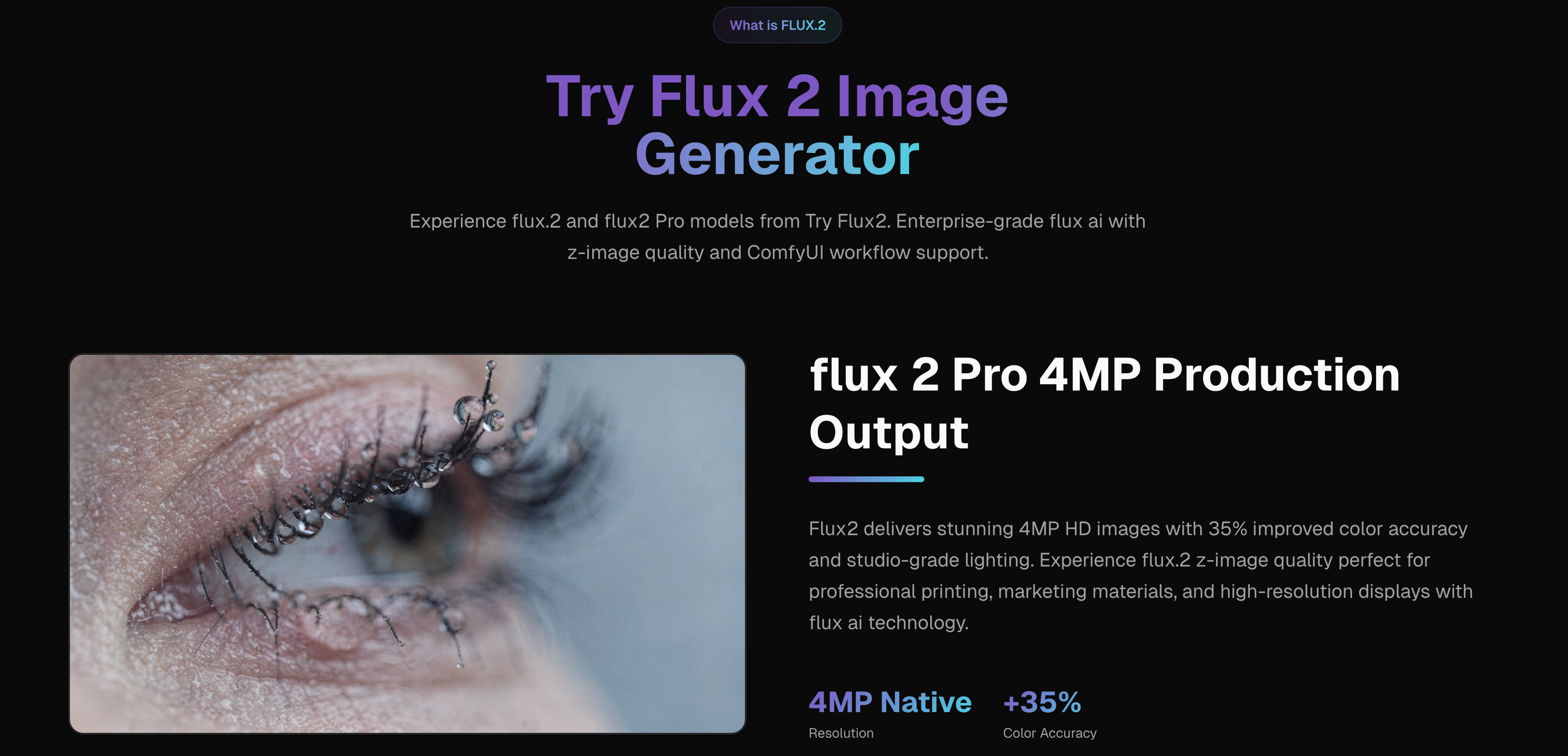Try Flux2 screenshot 1