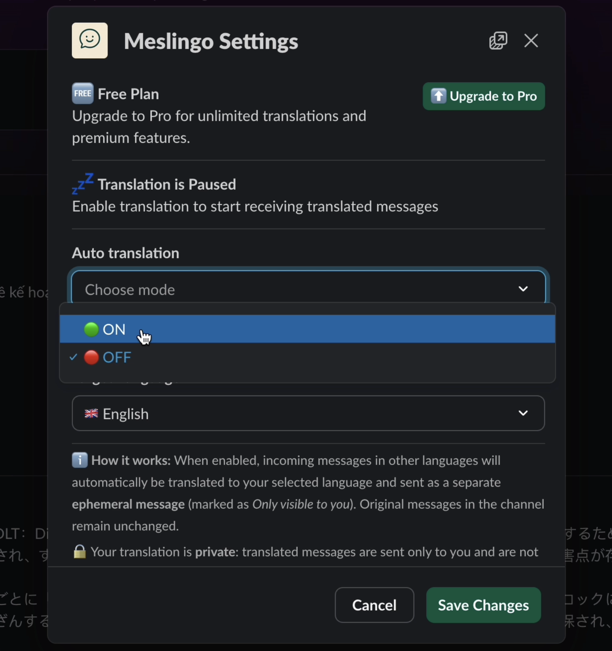 Meslingo Slack App screenshot 5