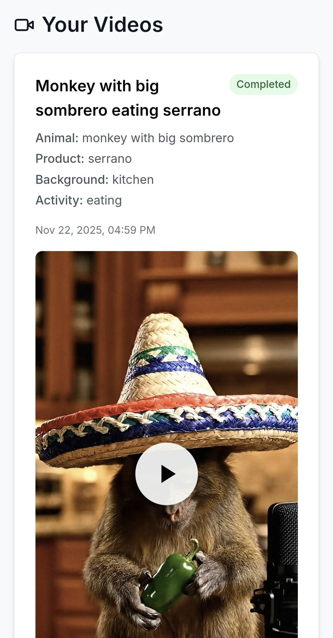 kliply.xyz screenshot 2