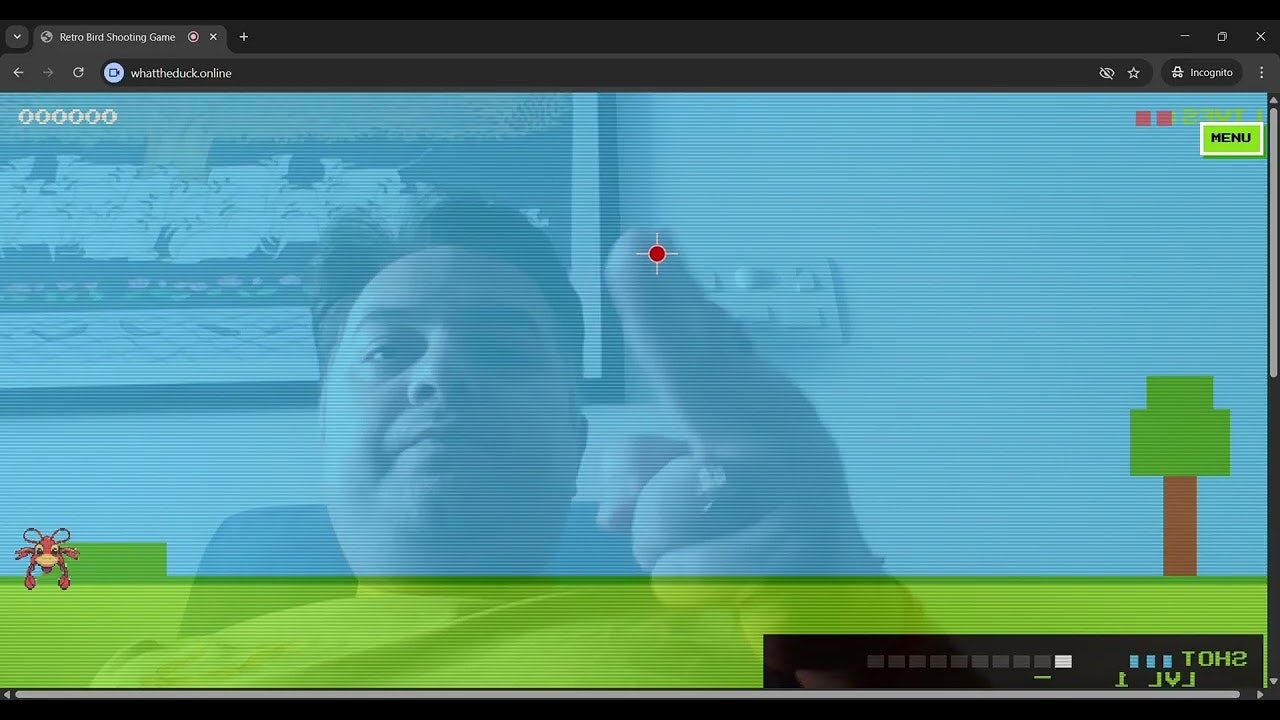 What The Duck! screenshot