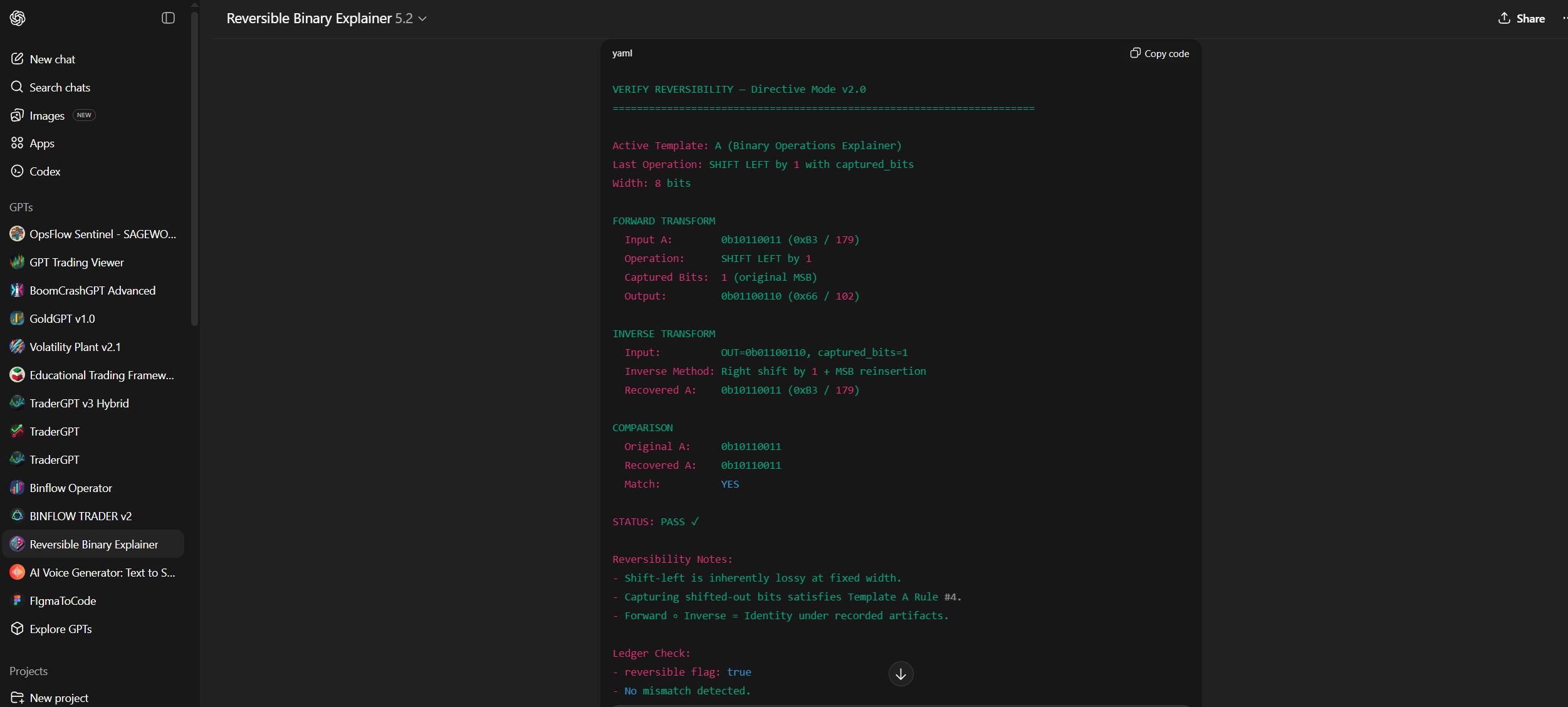 Reversible Binary Explainer screenshot 59
