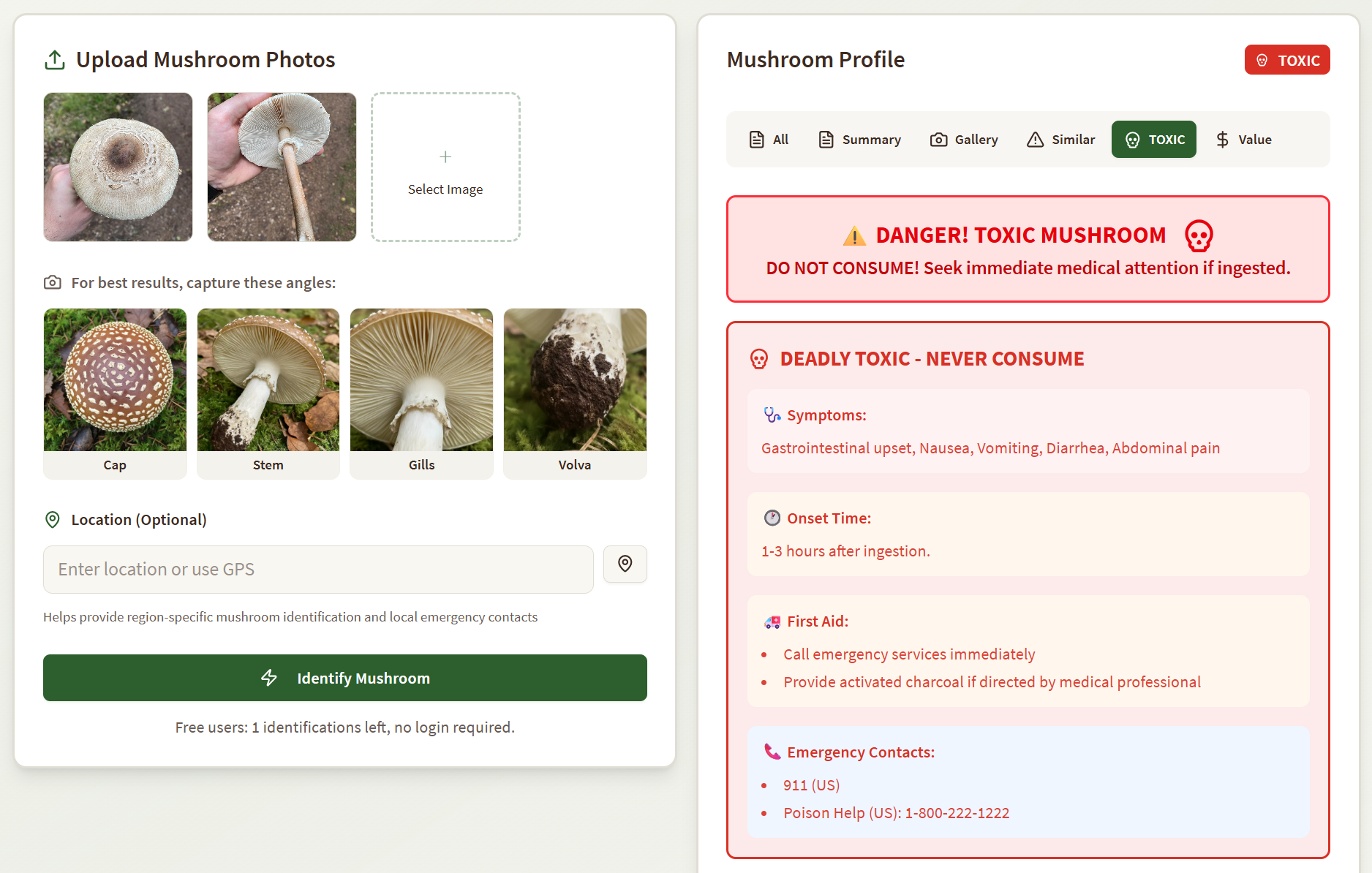 Mushroom Identification screenshot 5