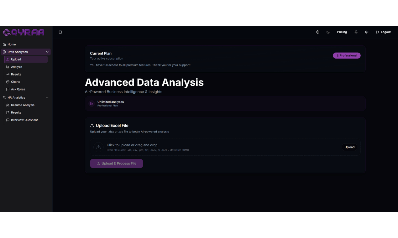 QYRAA.ai Understand Your Data Instantly screenshot 2