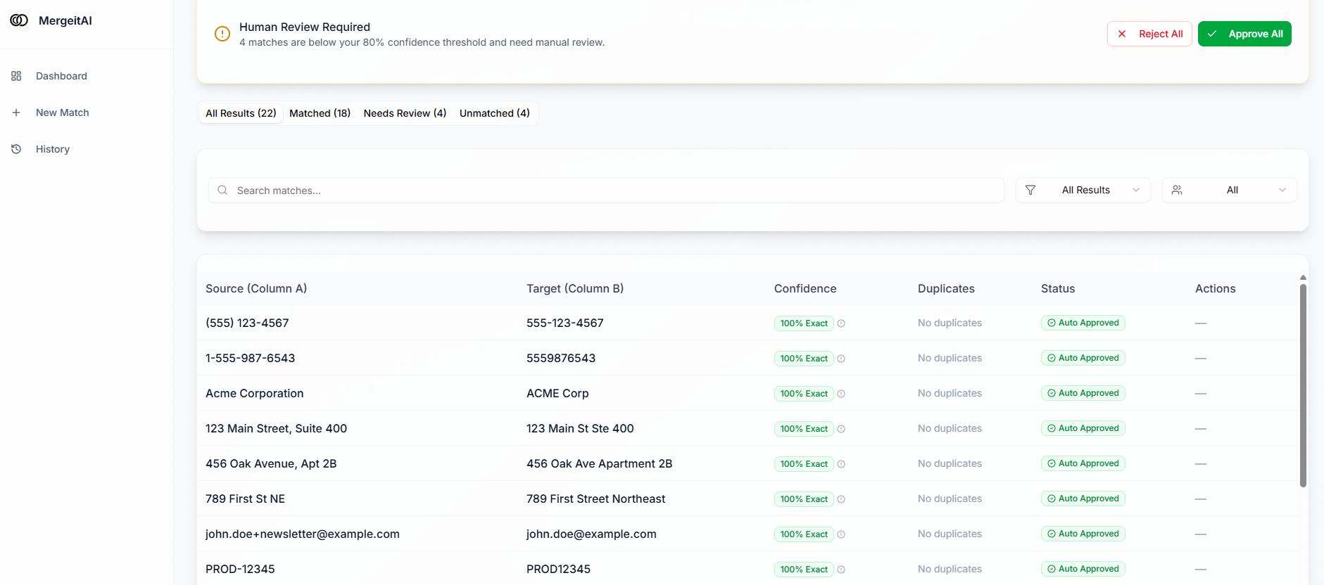 MergeItAI: Instantly Match Messy Data screenshot 3