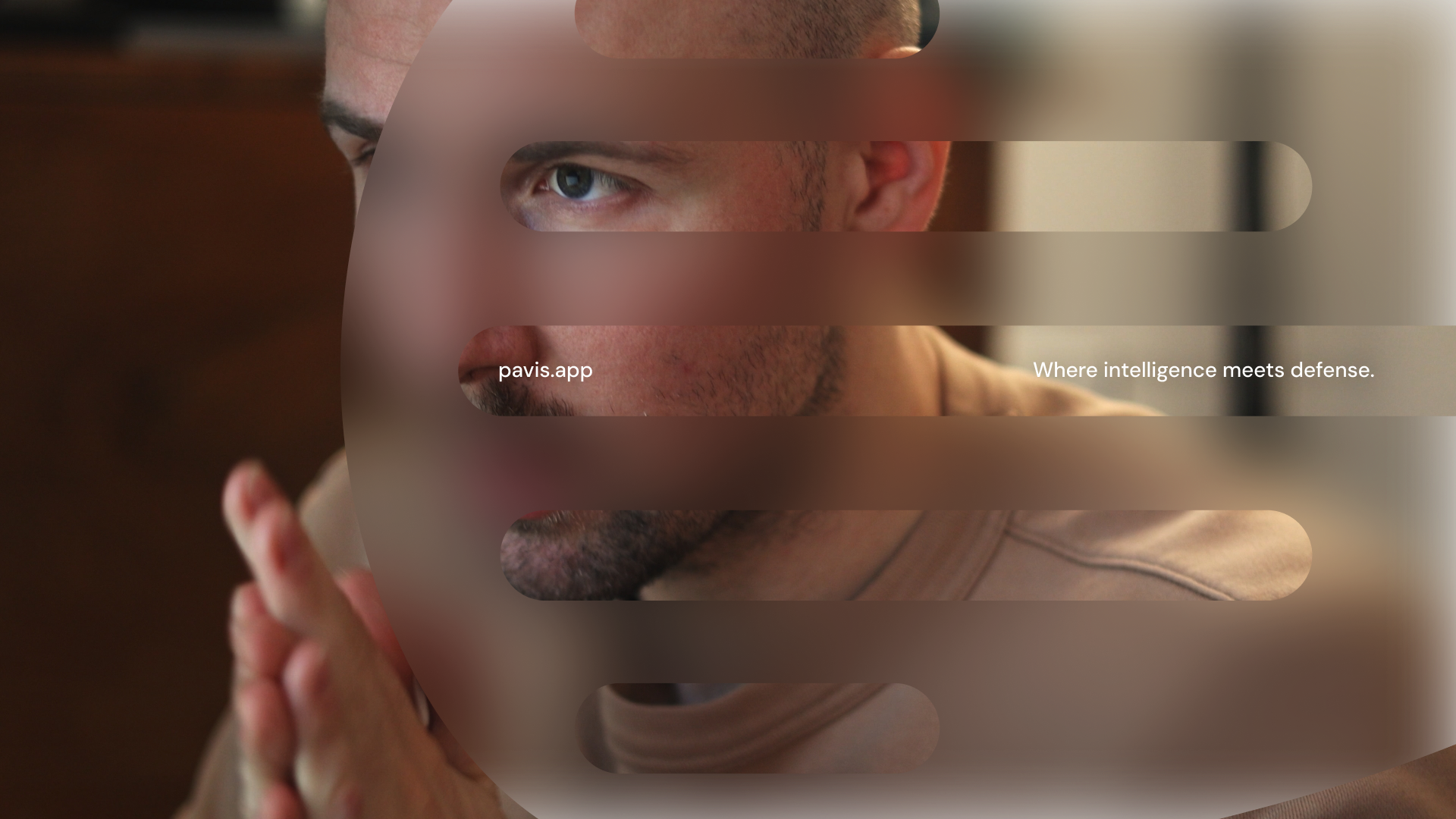 Pavis screenshot 6