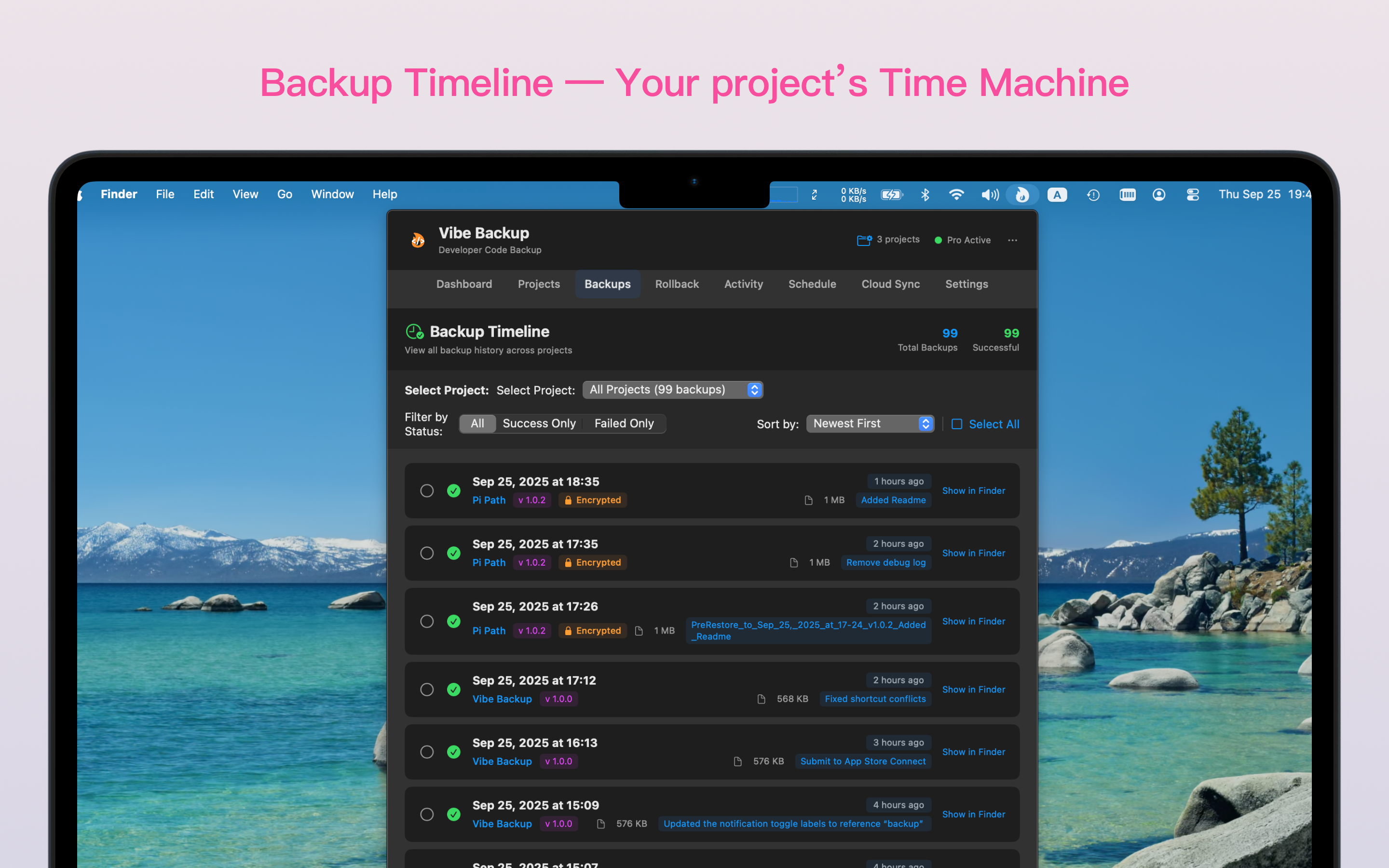 Vibe Backup screenshot 4