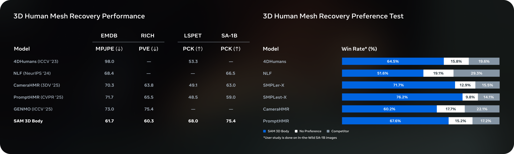 SAM 3 & 3D screenshot 8