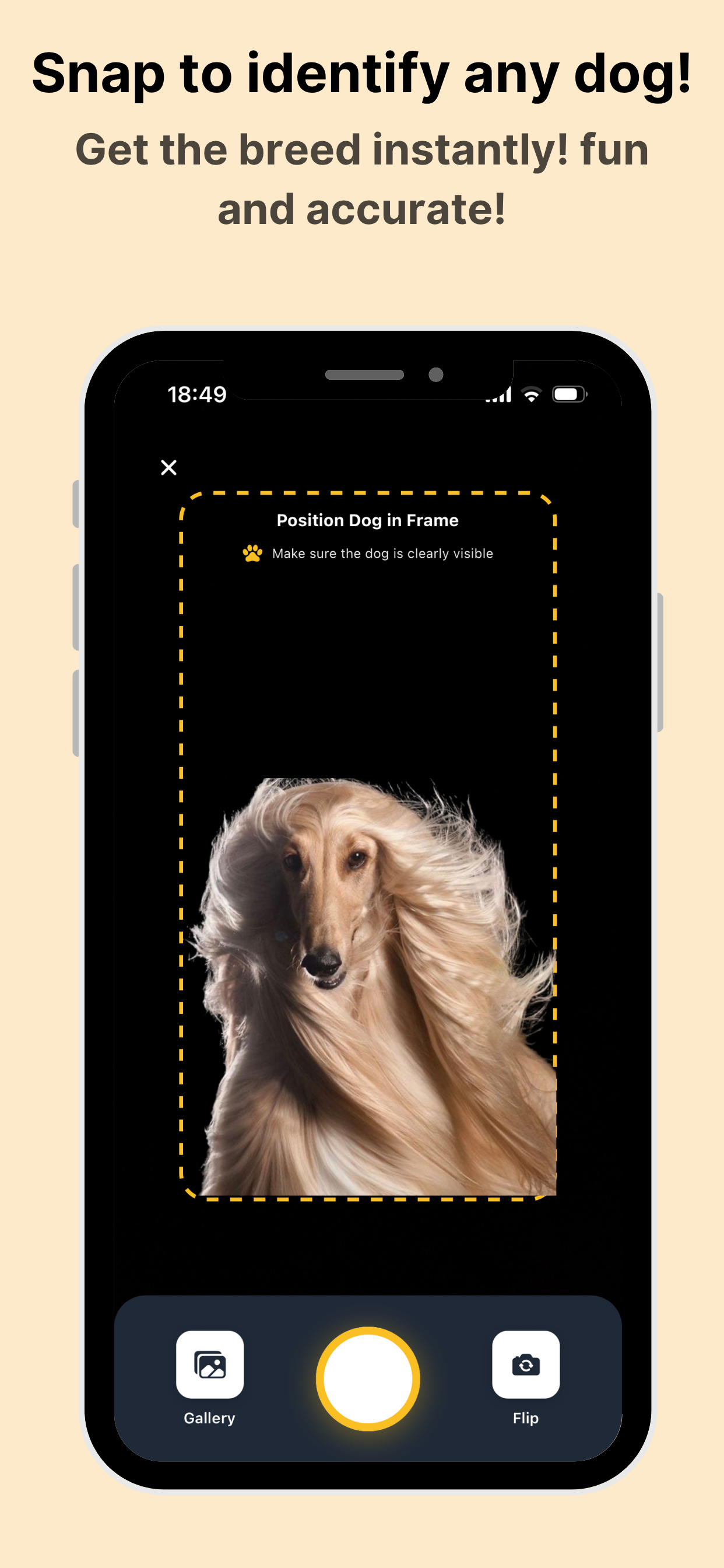 DogCare - Dog Breed Identifier screenshot 1